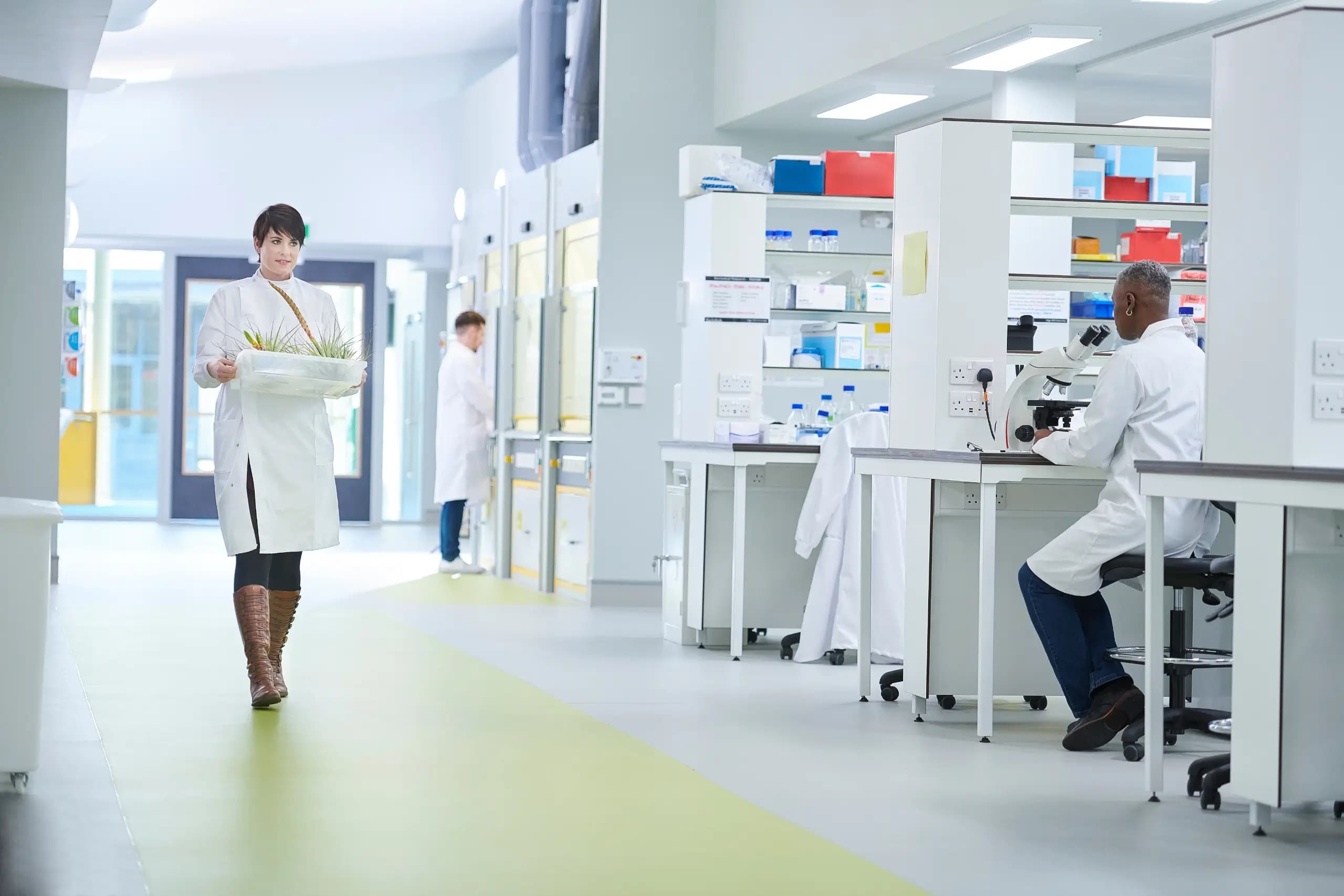 20 Lab Safety Rules and Hazards You Need to Know