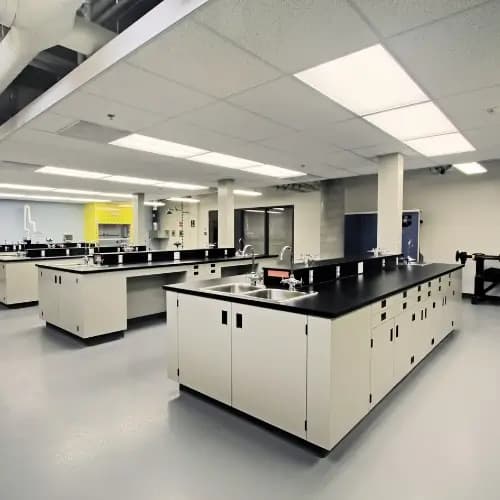 Lab